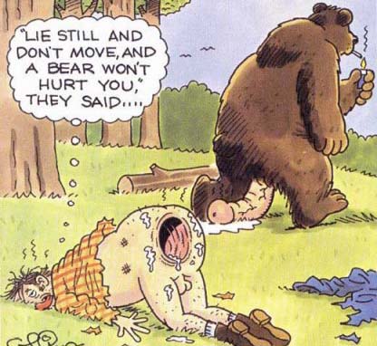 bear_attack.jpg